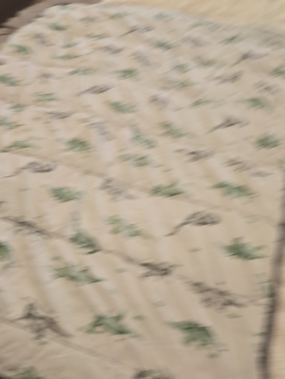 Burt's Bees Baby Blanket